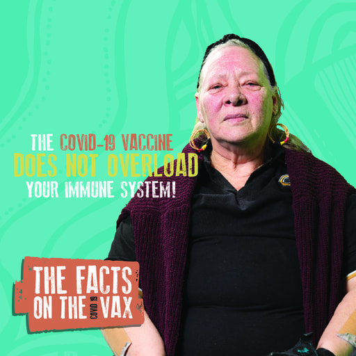 Vax Facts 06