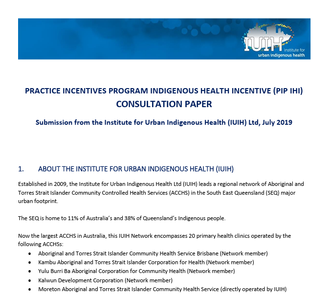 IUIH Submission PIP IHI Review